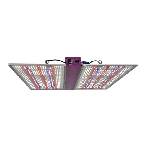 LED CULTILITE 300W PRO