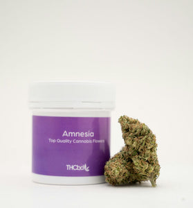 AMNESIA THCBD 5.G