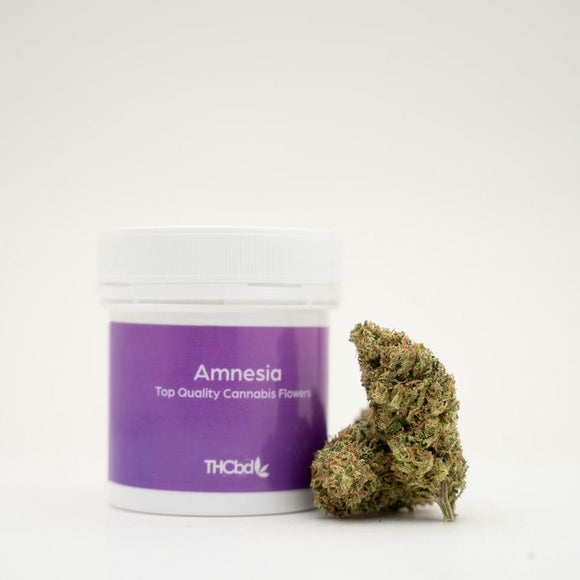 AMNESIA THCBD 5.G