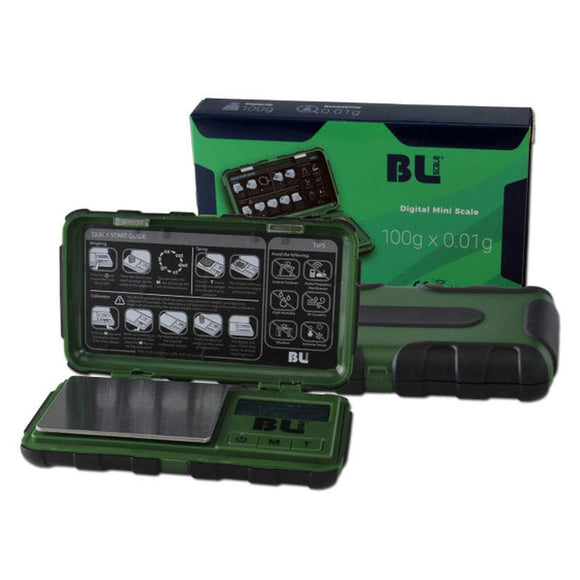 BILANCIA DI PRECISIONE BL