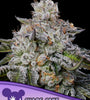 CHAOS CAKE AUTO /  ANESIA SEEDS