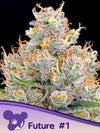 FUTURE # 1    / ANESIA SEEDS