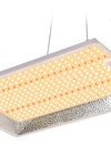 LED DP 500 SERIES 150W CAMPACAVALLO