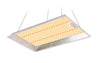 LED DP 500 SERIES 150W CAMPACAVALLO