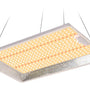 LED DP 500 SERIES 150W CAMPACAVALLO