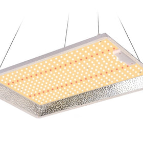 LED DP 800 SERIES 300W CAMPACAVALLO