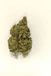 CBD RED BERRY