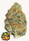 LEMON MANDARIN FEM