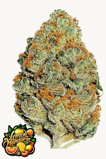 LEMON MANDARIN FEM