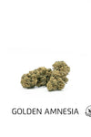 CBD GOLDEN AMNESIA