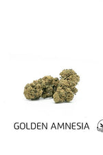 CBD GOLDEN AMNESIA