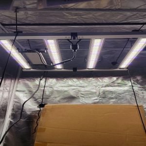 LED CAMPACAVALLO 240W DIMMERABILE