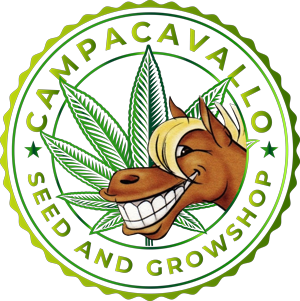 Campacavallo