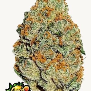 LEMON MANDARIN FEM